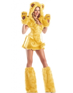 Sexy Costume