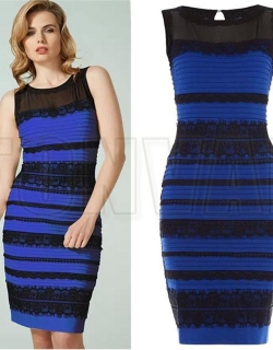 Lace Detail Bodycon Dress