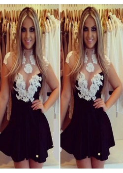 Fashion Lace Dresses