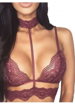 Wine Red Women Sexy Lace Bra