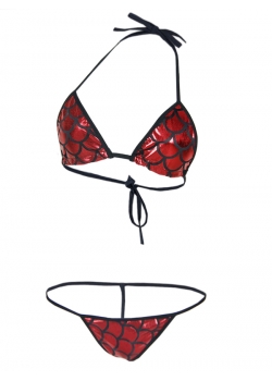  Red and Black Scales Bra and Panty