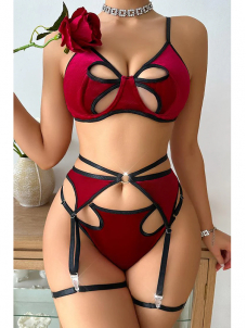 Women Sexy Valentines Bra and Garter Lingerie