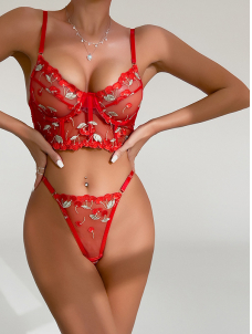 Women Sexy Bra And Panty Set Lingerie